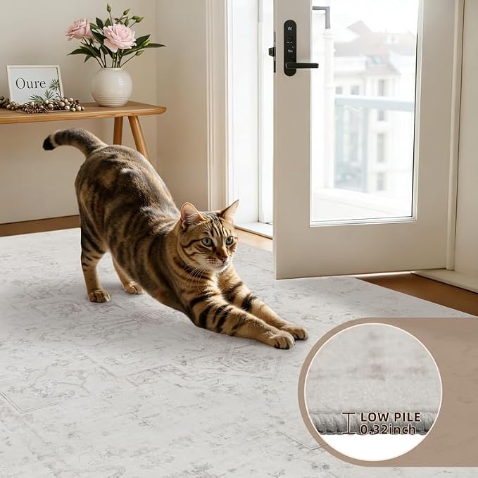 Area Rugs 9x12 Living Room: Bedroom Washable Carpet Neutral Cream | Large - Image 9