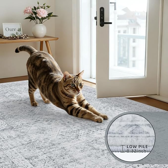 Washable Area Rugs 2x3: Neutral Living Room Bedroom Carpet Gray | Vintage Boho - Image 6