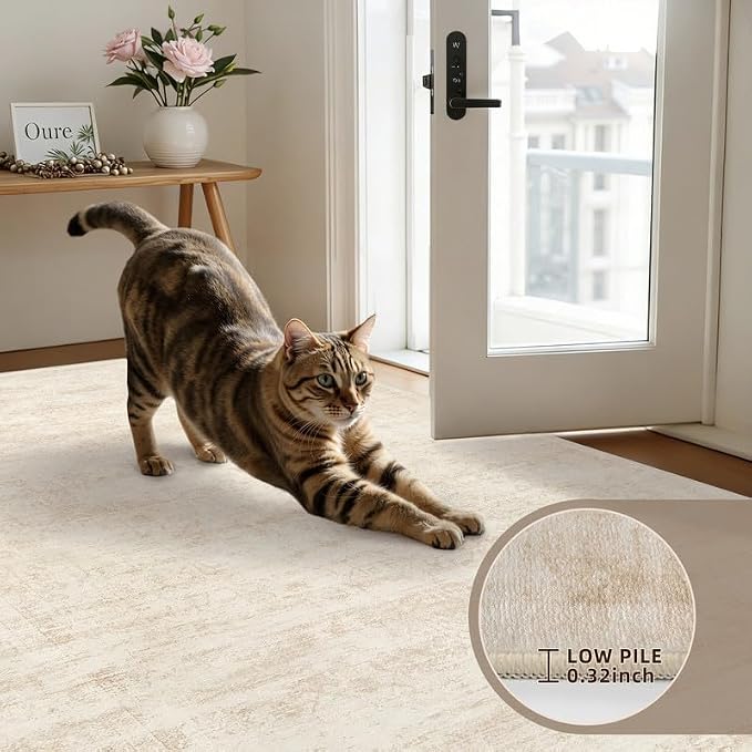 Washable Area Rugs 2x3: Living Room Bedroom Carpet Retro Beige | Vintage Boho - Image 6
