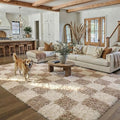 Beige 5x8 Area Rug for Living Room Soft Checkered Shag Carpet | Machine Washable by PureCozy