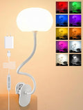 Clip on Lamp, 10 RGB Colors+10 Brightness Clip on Desk Lamp by Unknown