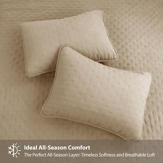ROARINGWILD Beige Cloud Twin Size Quilt Bedding Sets - Image 4