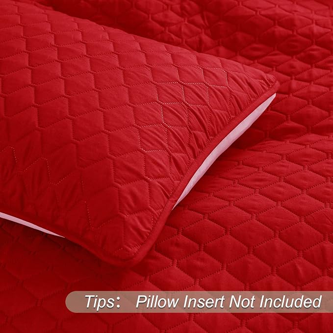Exclusivo Mezcla Reversible Twin Quilt Bedding Set, Soft Microfiber, All Season - Image 5
