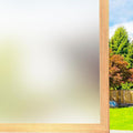 Frosted Window Privacy Film Static Cling Glass Film 17.5" x 6.5' | No Glue by FILMGOO