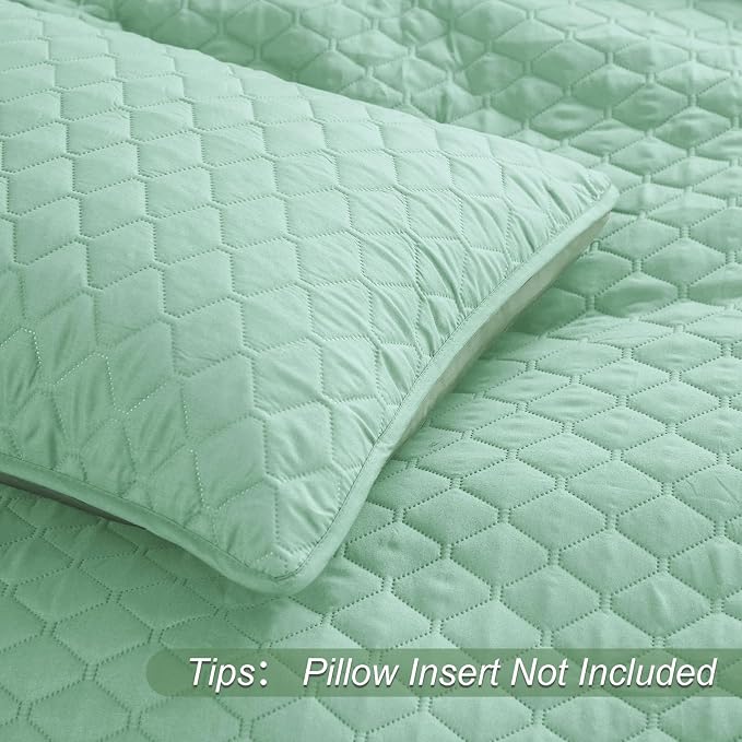 Exclusivo Mezcla Reversible Full Queen Quilt Bedding Set, Light Green | - Image 5
