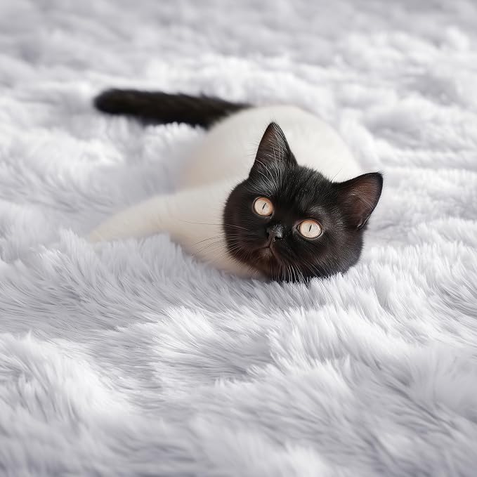 White Fluffy Shag Area Rugs for Living Room 5x7, Soft Fuzzy Shaggy Rug for - Image 5