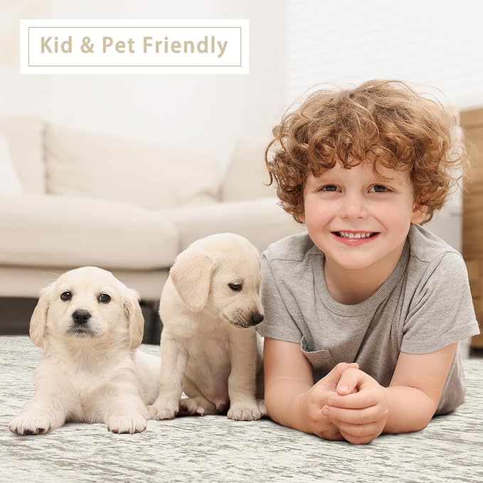 Washable Rugs 8x10 Area Rugs for Living Room, Dining Room Carpet | Ultra Soft - Image 6
