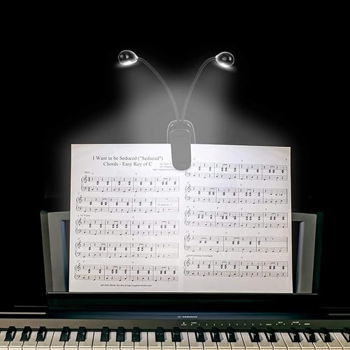 10 Pack Music Stand Lights - Image 2