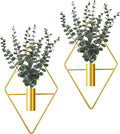 Jexine 4 Pcs Hanging Planters by Jexine