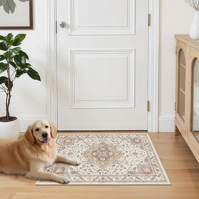 cotiled 2x3 Area Rug for Living Room, Traditional, and Laundry Room - Image 7