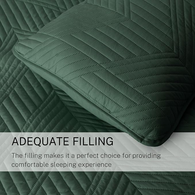 Exclusivo Mezcla Ultrasonic Full Queen Quilt Bedding Set, Soft Microfiber - Image 6