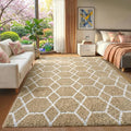 Area Rugs for Bedroom Living Room, 4x6 Fluffy Beige and White Throw Rug by ONASAR