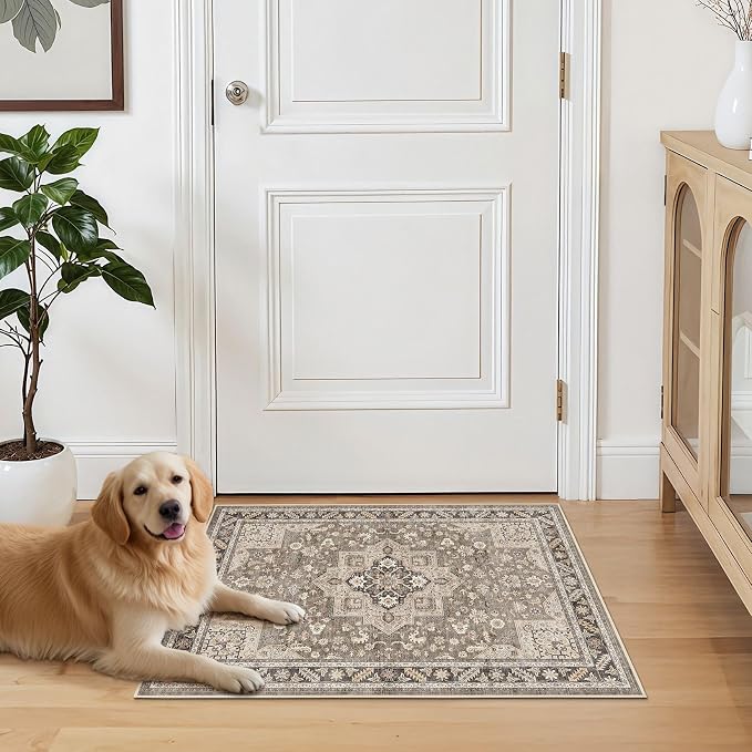 cotiled 3x5 Area Rug for Living Room, Traditional, and Laundry Room - Image 7
