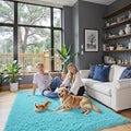 4x6 Area Rugs for Bedroom, Teal Blue Soft Fluffy Shag Bedside Rugs | Non-Slip by Junhejiamei