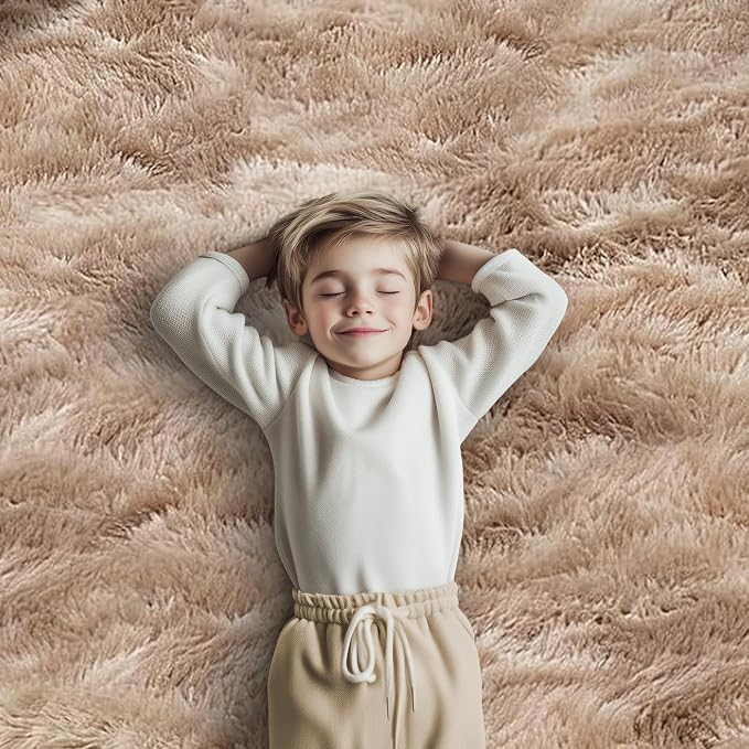 Fluffy Rug Shag Area Rug, Dark Beige Tie-Dyed 3x5 Area Rugs - Image 6
