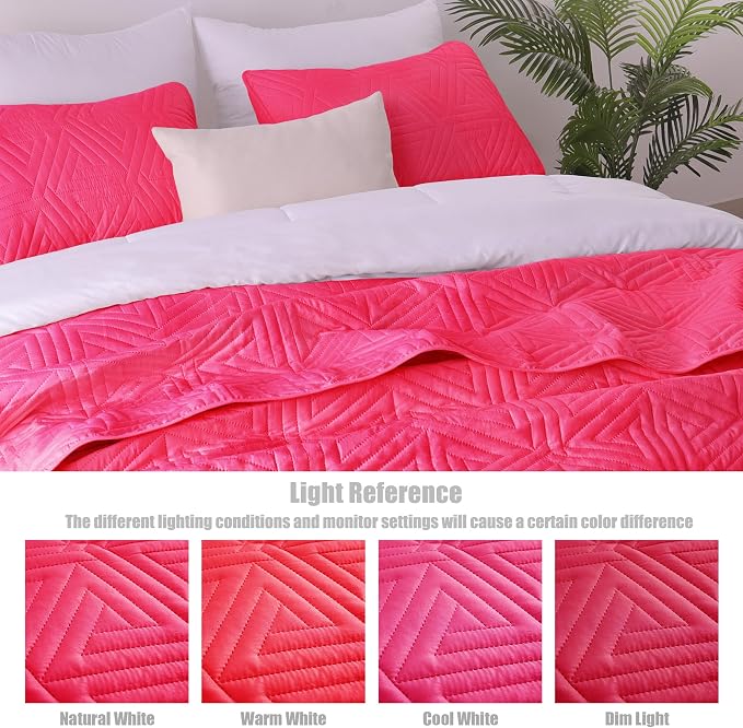 Whale Flotilla Soft Geometric Queen Quilt Set - Image 6