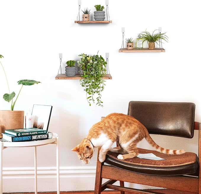 Floating Wall Shelves, Rustic Wood Wall Mounted Shelf Set of 3 | No Drill - Image 2