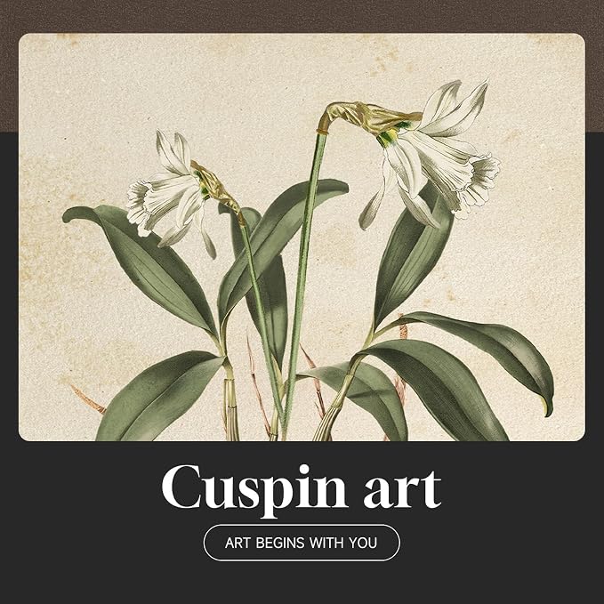 Framed Vintage Botanical Floral Wall Art - Image 5
