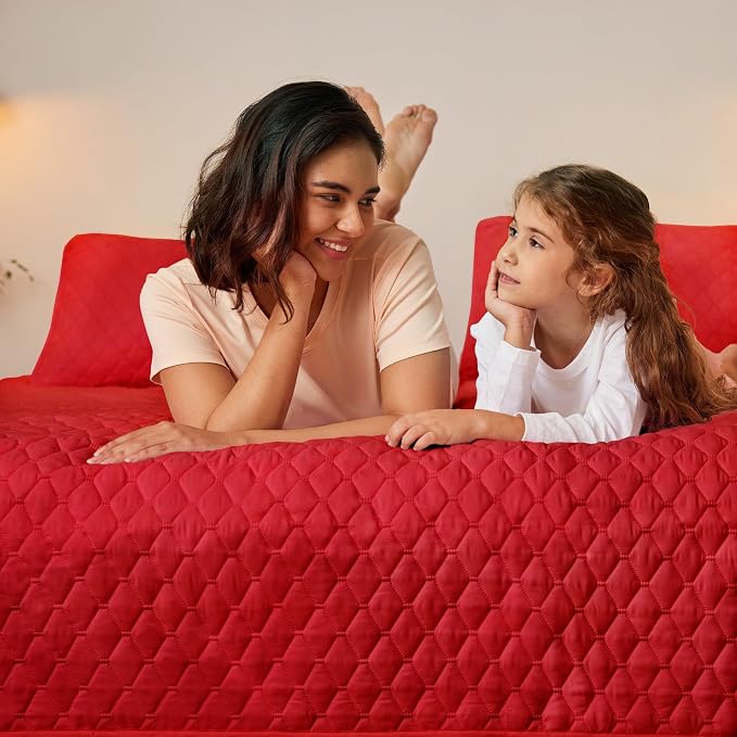 Exclusivo Mezcla Reversible Twin Quilt Bedding Set, Soft Microfiber, All Season - Image 3