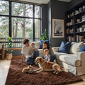 Fluffy Rug Shag Area Rug, Coffee 3x5 Area Rugs by Junhejiamei