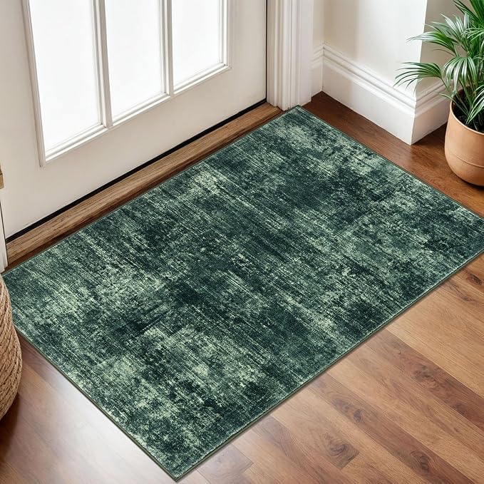 Small Abstract Area Rug 2x3 Ft Entryway Rugs Washable Door Mat Indoor Entrance by iOhouze