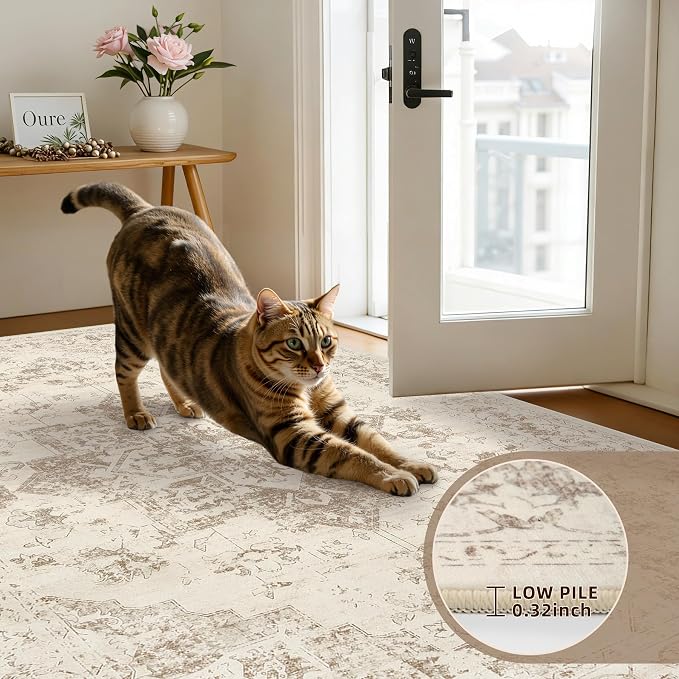 5x7 Area Rugs Living Room: Bedroom Washable Carpet Beige/Ivory | Vintage Boho - Image 7