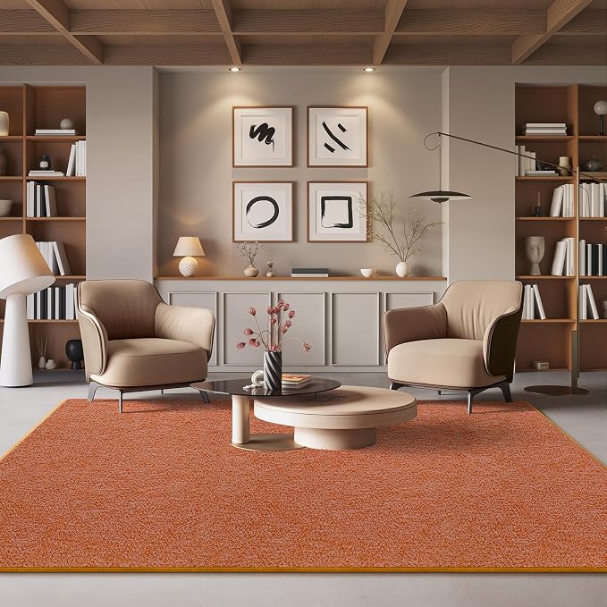 5x7 Area Rugs for Living Room Non Slip Dorm Bedroom Rug, Minimalist Washable - Image 6
