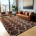 5x7 Area Rugs for Living Room Bedroom, Fluffy Brown and White Throw Rug by ONASAR