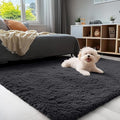 OLANLY 4x5 Machine Washable Accent Rug, Soft Fluffy Shaggy Area Rug by OLANLY