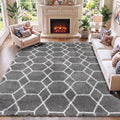 Area Rugs for Living Room Bedroom, 5x8 Fluffy Grey and White Rug, Geometric by ONASAR