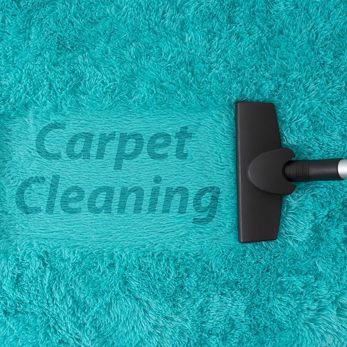 Goideal Fluffy Bedroom Rug, Small Oval Area Rugs, Teal Shag Bedside Carpet - Image 7