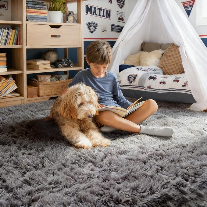 Grey Area Rugs for Living Room Bedroom Rug 5x8 Rugs Soft Plush Fluffy Rug for - Image 4