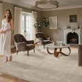 Washable Rugs 5x7, High-Low Pile Area Rugs by Valenrug